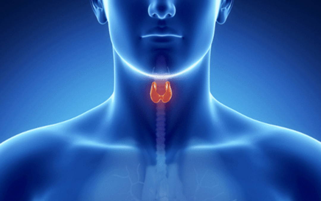 THYROID