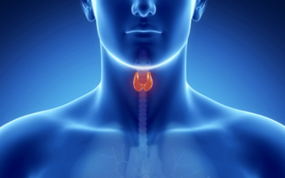 THYROID